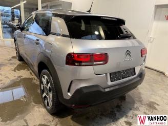 Citroën C4 CACTUS picture 10
