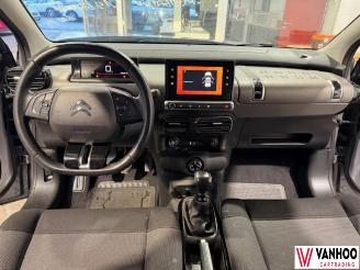 Citroën C4 CACTUS picture 18