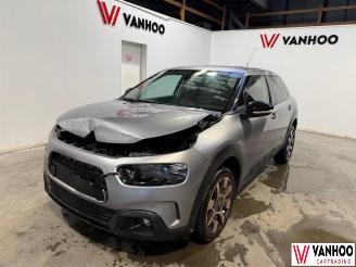 škoda osobní automobily Citroën C4 CACTUS 2019/1