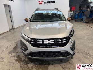 Dacia Sandero  picture 3