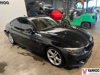 BMW 4-serie GRAN COUPE picture 3