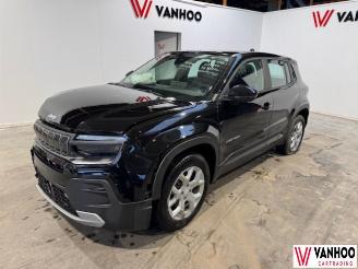 Avarii autoturisme Jeep Avenger  2024/3