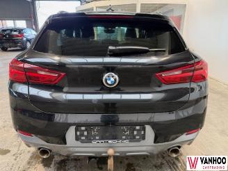 BMW X2  picture 10