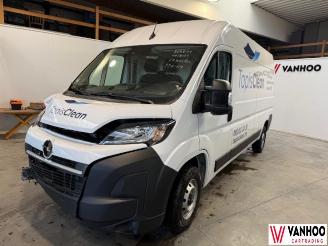Coche accidentado Opel Movano  2024/11