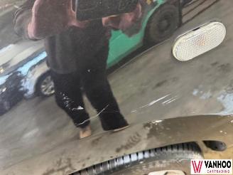 Dacia Dokker  picture 4