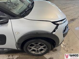 Citroën C4 CACTUS picture 5