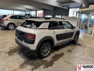 Citroën C4 CACTUS picture 10