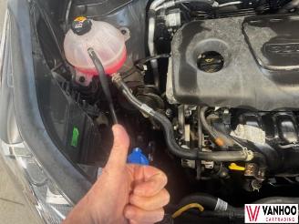 Kia Sportage  picture 9