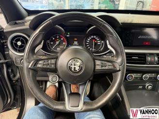 Alfa Romeo Stelvio  picture 18