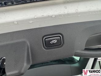 Kia Sportage  picture 14