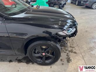 Jaguar F-Pace  picture 4