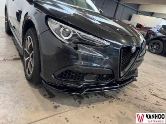 Alfa Romeo Stelvio  picture 5