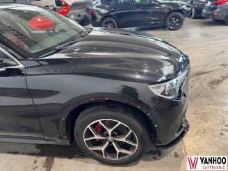 Alfa Romeo Stelvio  picture 6
