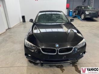 BMW 4-serie  picture 2