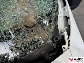 Renault Master  picture 3