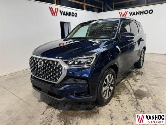 Unfallwagen Ssang yong Rexton  2021/6