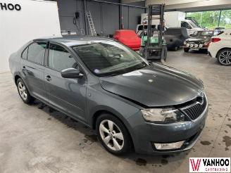 Skoda Rapid  picture 5