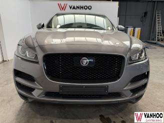Jaguar F-Pace  picture 2