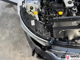 Renault Kangoo  picture 11