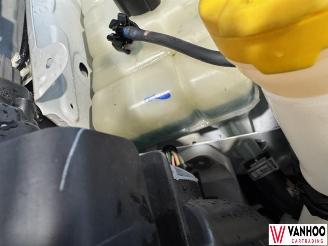 Renault Kangoo  picture 12