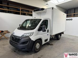 uszkodzony samochody osobowe Opel Movano  2022/9