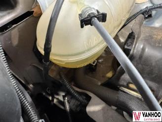 Renault Kangoo  picture 11