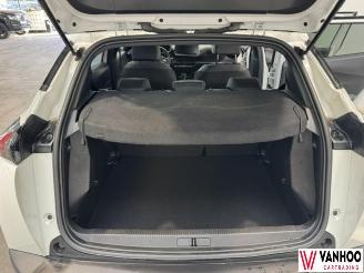 Peugeot 2008  picture 13