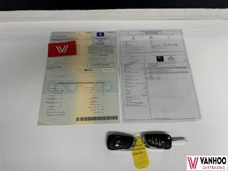 DS Automobiles DS 4  picture 21