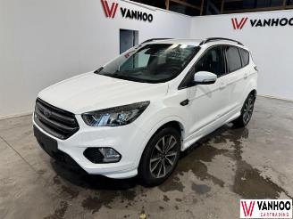 Vaurioauto  passenger cars Ford Kuga  2019/4