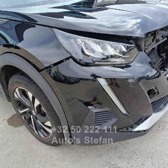 Peugeot 2008 E- ALLURE picture 18