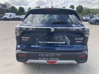 Suzuki SX4 S-CROSS PRIVILEGE picture 5