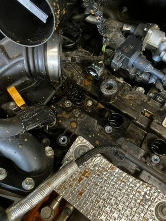 Suzuki SX4 S-CROSS PRIVILEGE picture 2