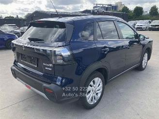 Suzuki SX4 S-CROSS PRIVILEGE picture 7