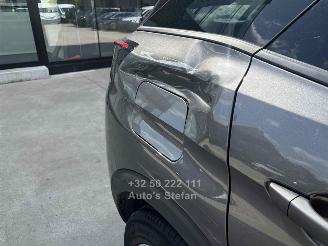 Peugeot 3008 ACTIVE picture 13
