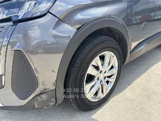 Peugeot 3008 ACTIVE picture 21