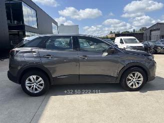 Peugeot 3008 ACTIVE picture 24