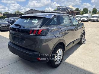 Peugeot 3008 ACTIVE picture 6