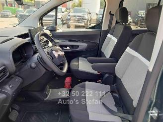 Citroën Berlingo E-FEEL MULTISPACE picture 9