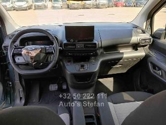 Citroën Berlingo E-FEEL MULTISPACE picture 25