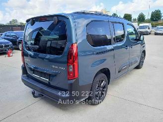 Citroën Berlingo E-FEEL MULTISPACE picture 6