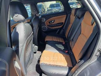 Land Rover Range Rover ROVER EVOQUE picture 20