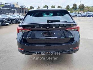 Skoda Octavia FIRST EDITION picture 6