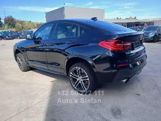 BMW X4 XDRIVE20I picture 6
