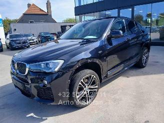 BMW X4 XDRIVE20I picture 3