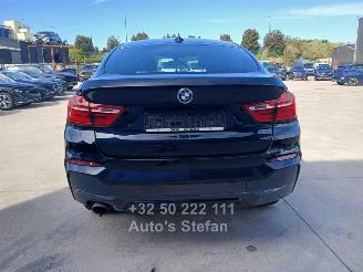BMW X4 XDRIVE20I picture 5