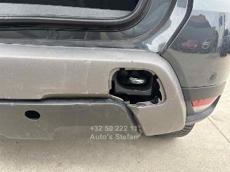 Dacia Duster 4 X 4 picture 19