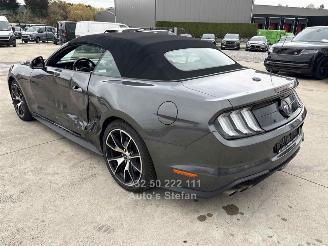 Ford Mustang CONVERTIBLE picture 28