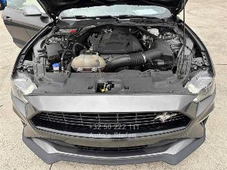 Ford Mustang CONVERTIBLE picture 29
