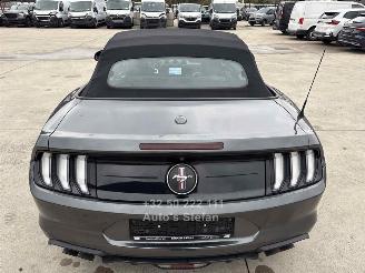 Ford Mustang CONVERTIBLE picture 13