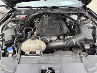 Ford Mustang CONVERTIBLE picture 25